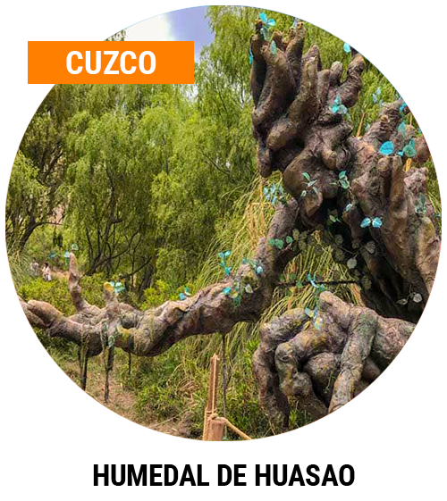 HUMEDAL DE HUASAO JUMBO TRAVEL